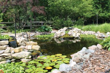 Photo of the Goldberg Park pond.