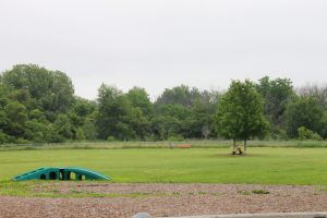 Photo of Rovers Run Dog Park.