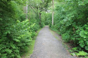Photo of the Butterfield Park walking path.