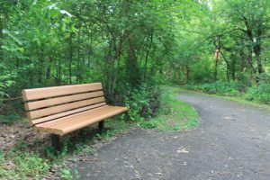 Photo of the Butterfield Park walking trail.