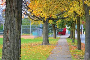 Photo of Flossmoor Park.