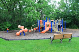 Photo of the Pheasant Trails park playground.