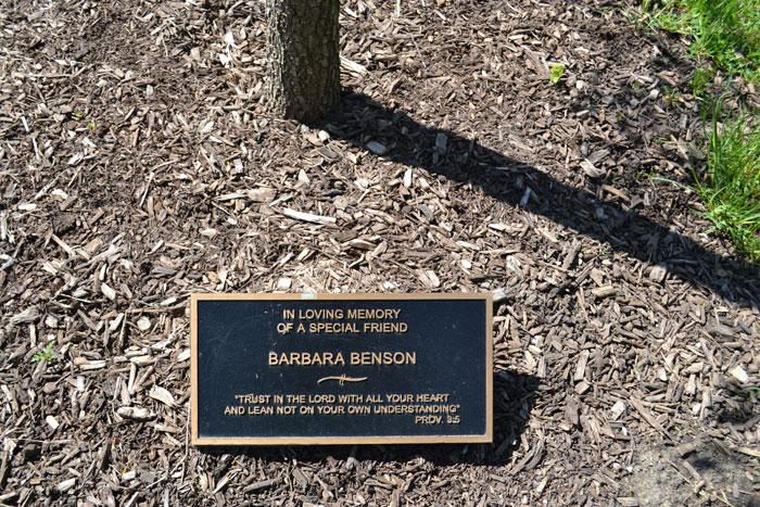 Tree Memorial Plaque 