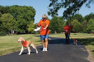 Dog park Dog Walking