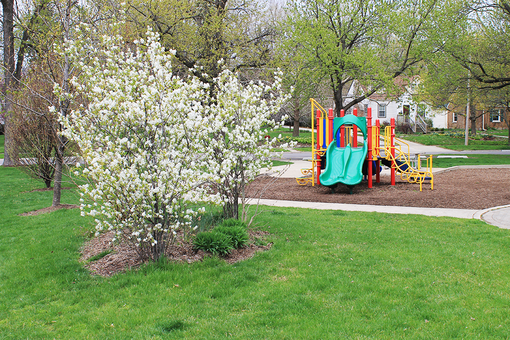 Homewood Flossmoor Park District