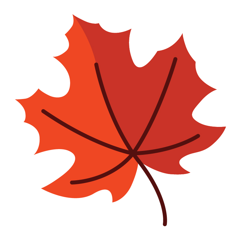 Graphic of a fall leaf.