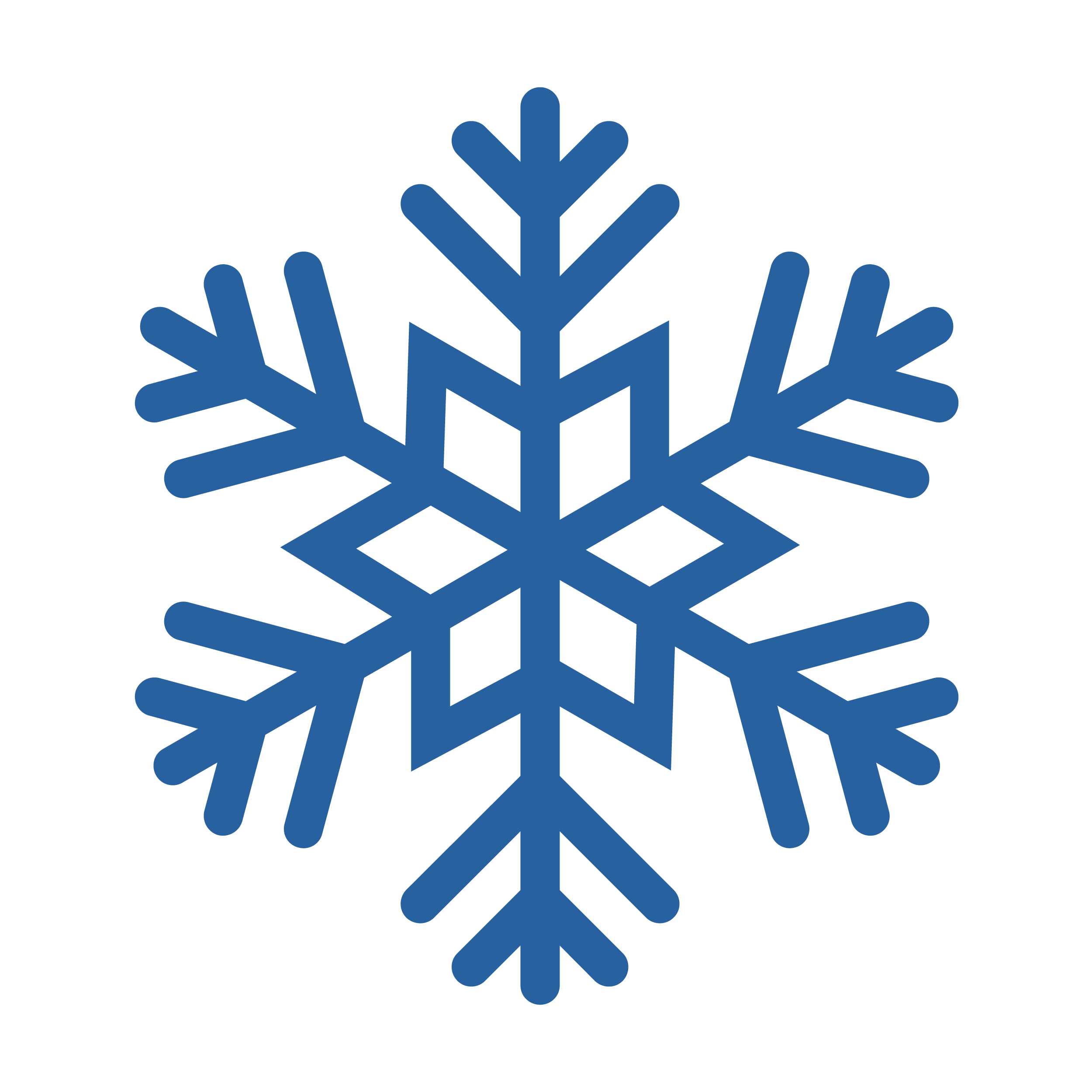 Graphic of a snowflake.