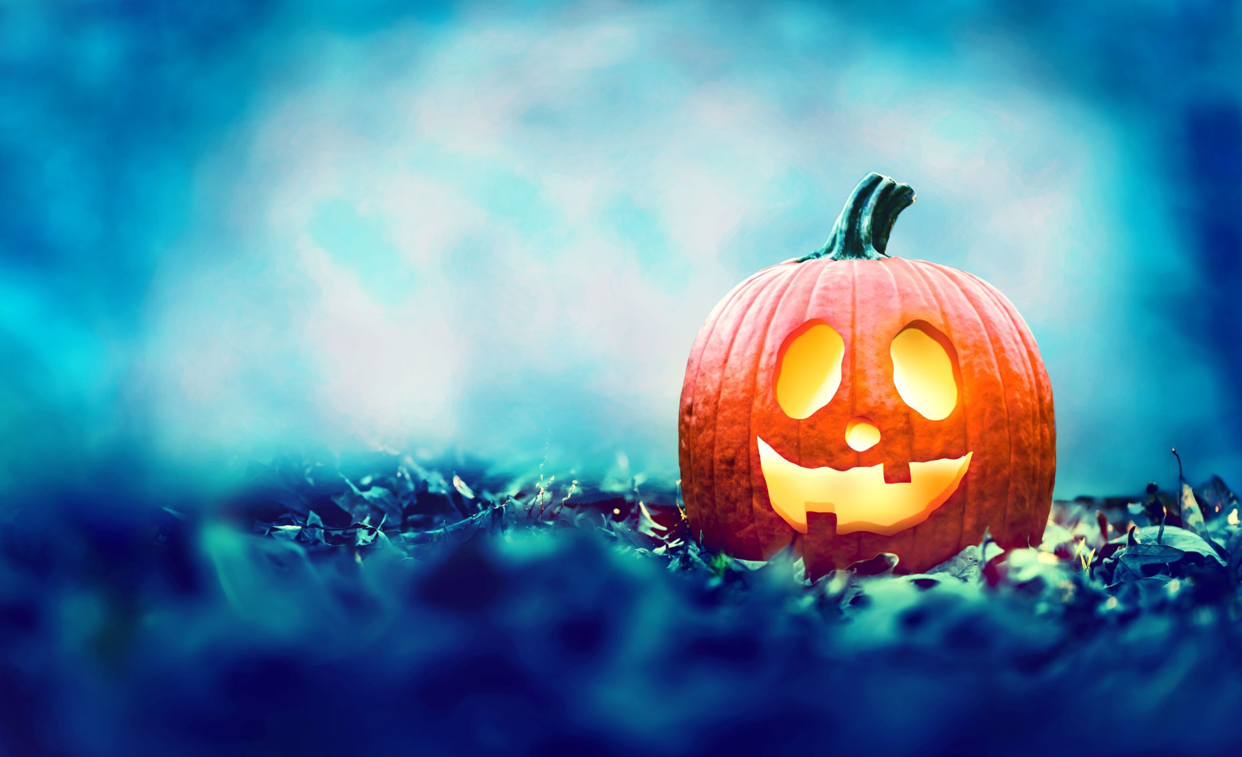 pumpkin hunt Photo of a jack-o-lantern on forest floor.