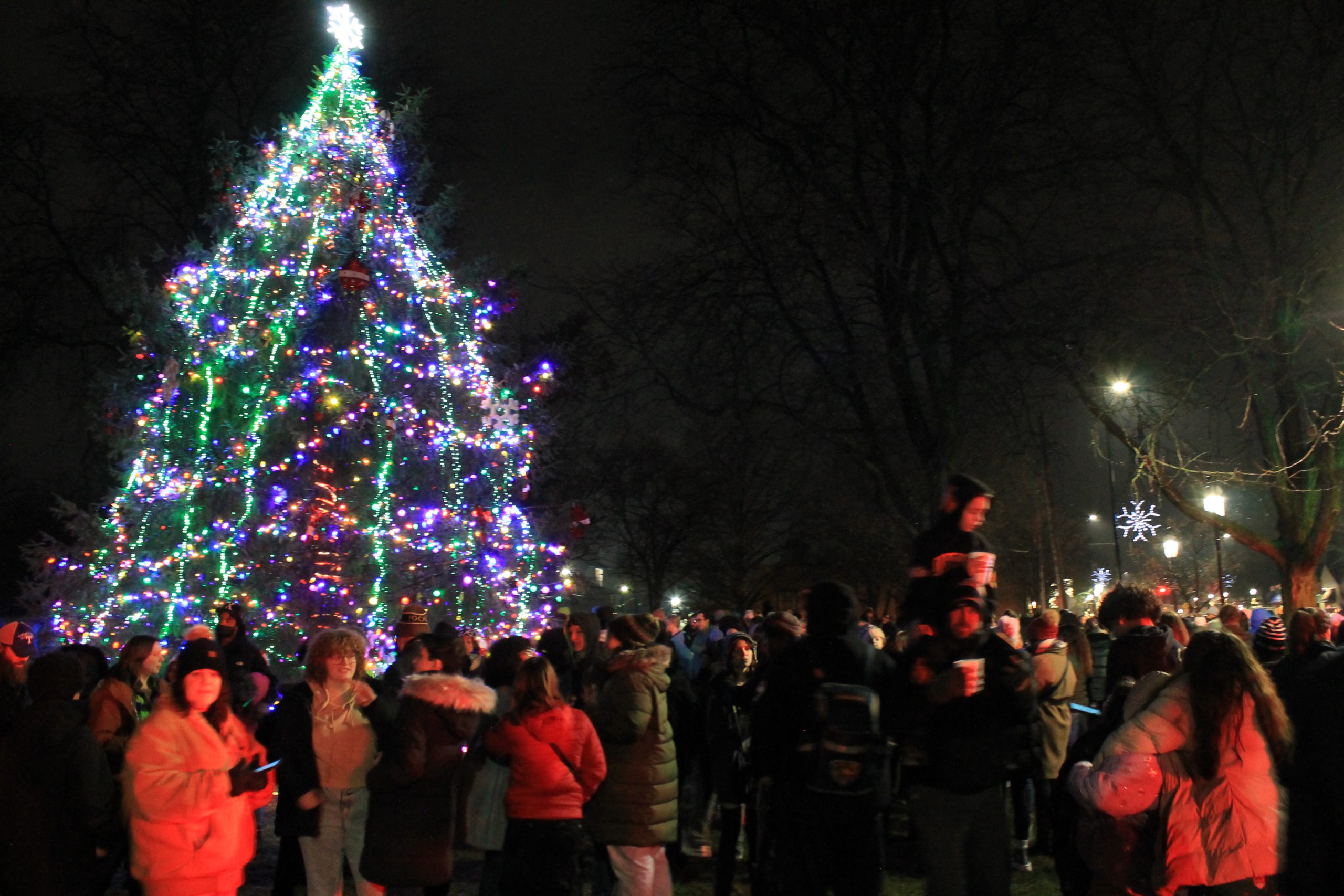 Photo from Holiday Lights.