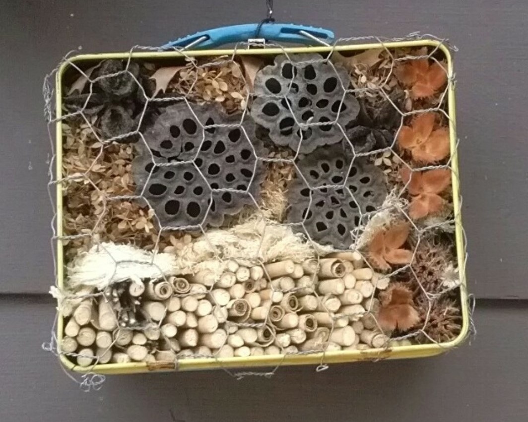Photo of an insect hotel.