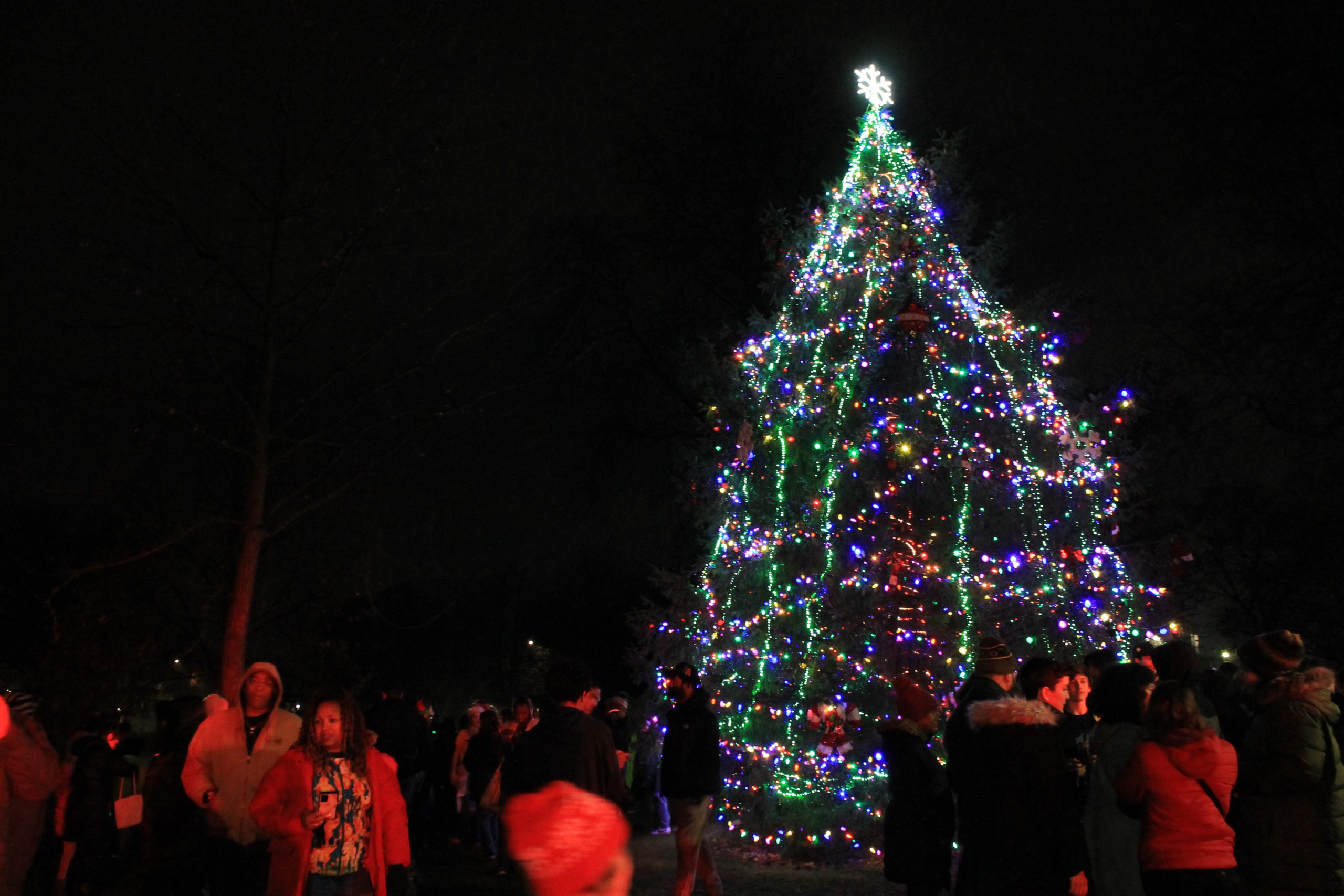 Photo of the Holiday Lights tree lighting.