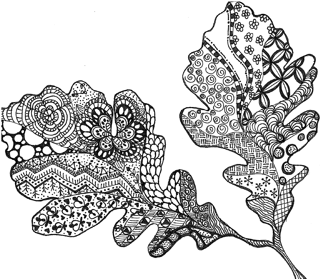 Illustration of two oak leaves.