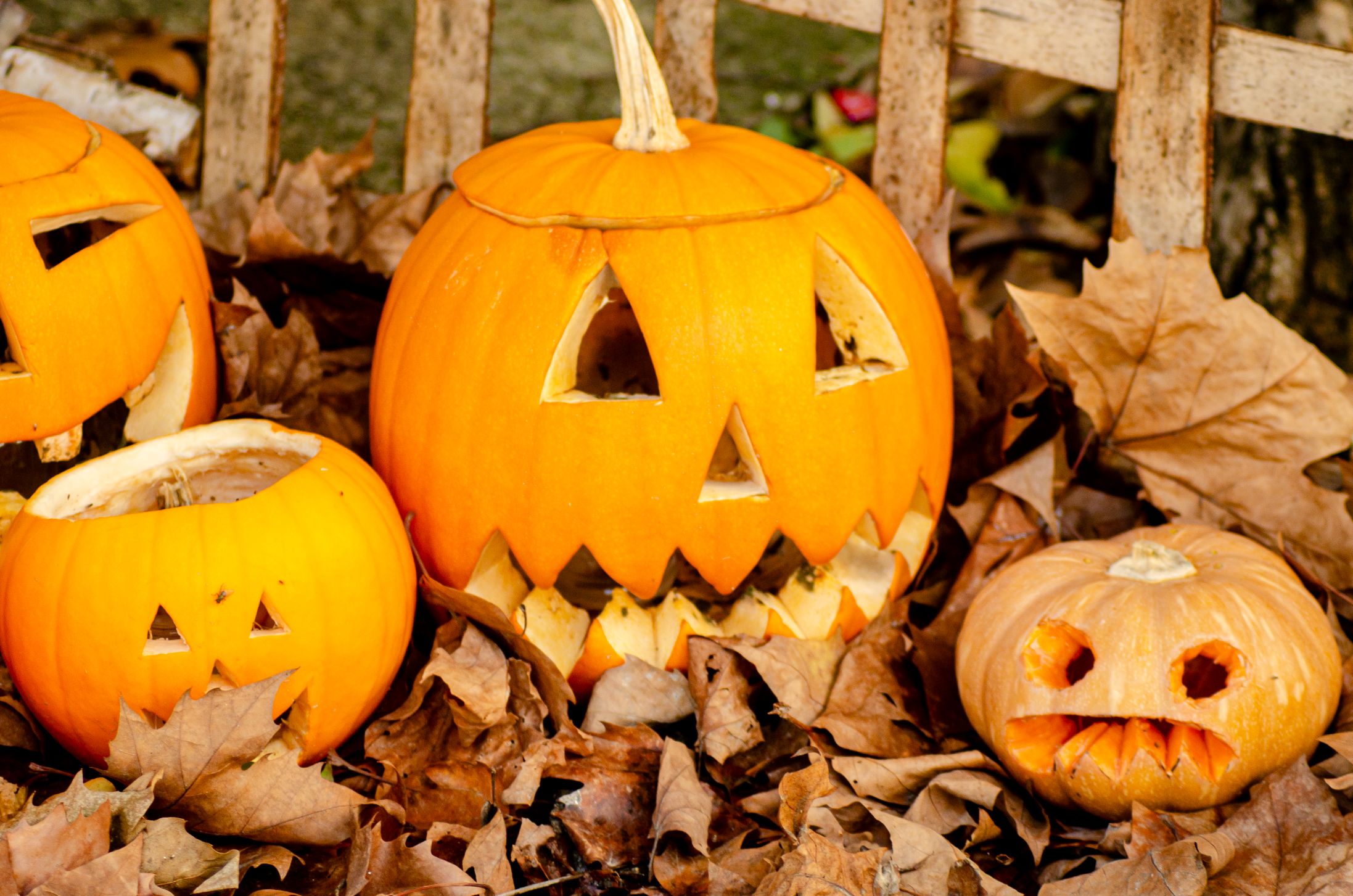 photo of jack o lanterns