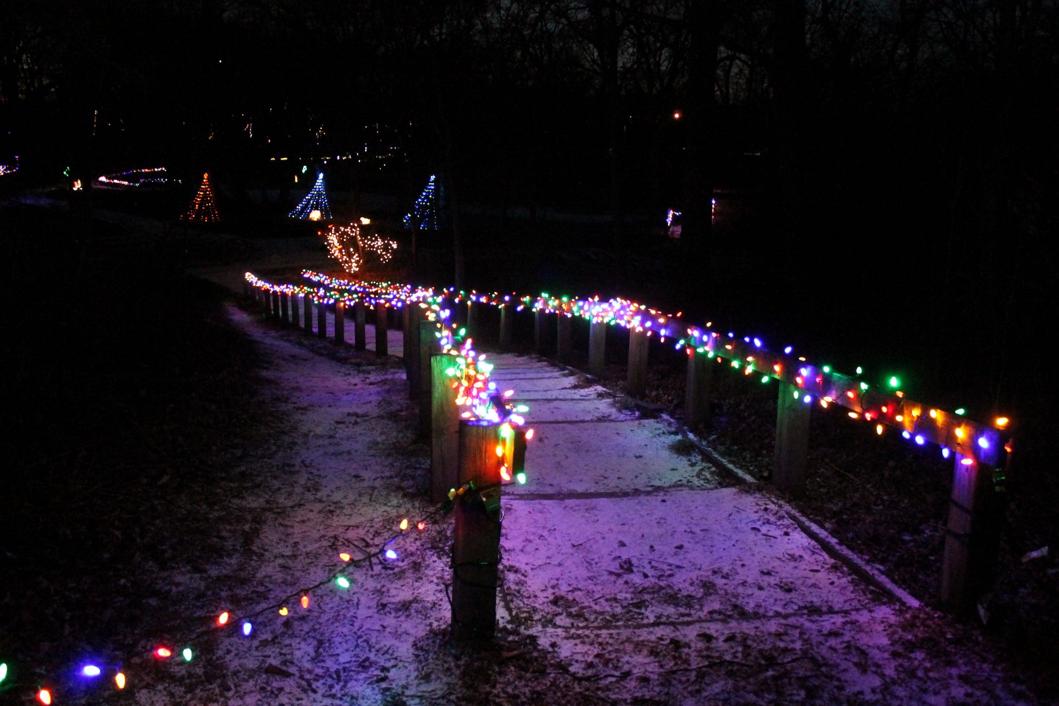 photo of a holiday light up trail with lights in the woods