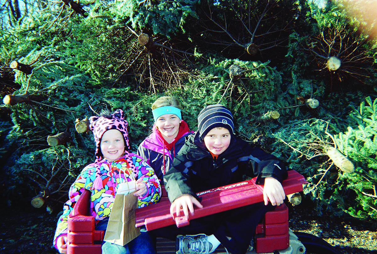 kids at tree recycling