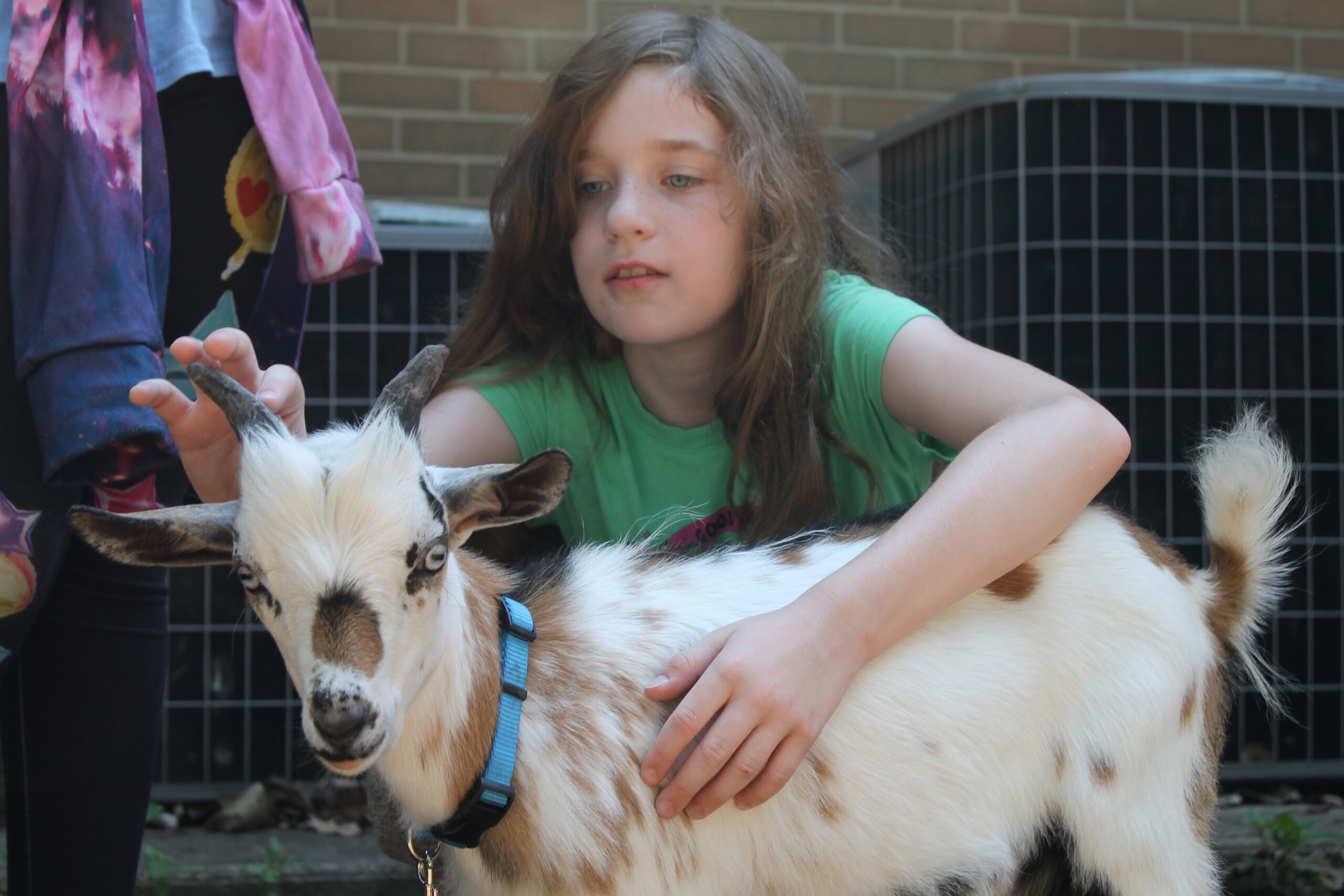 photo of summer camper petting a goat