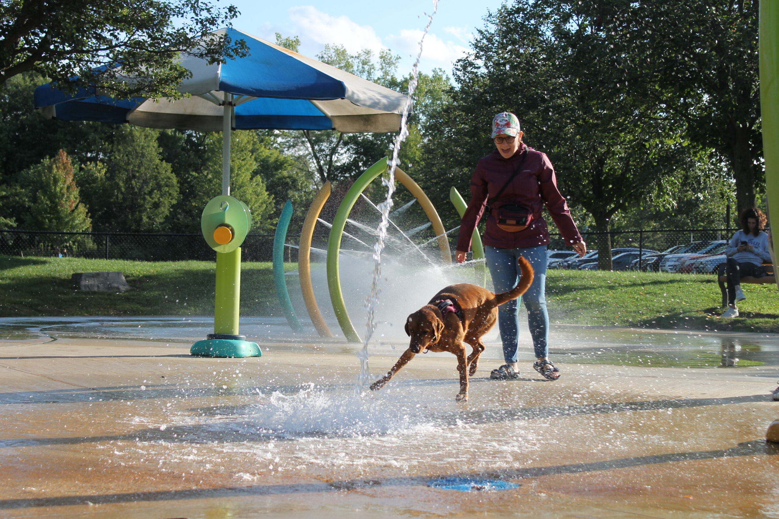 photo of a dog and their owner at the splash pad